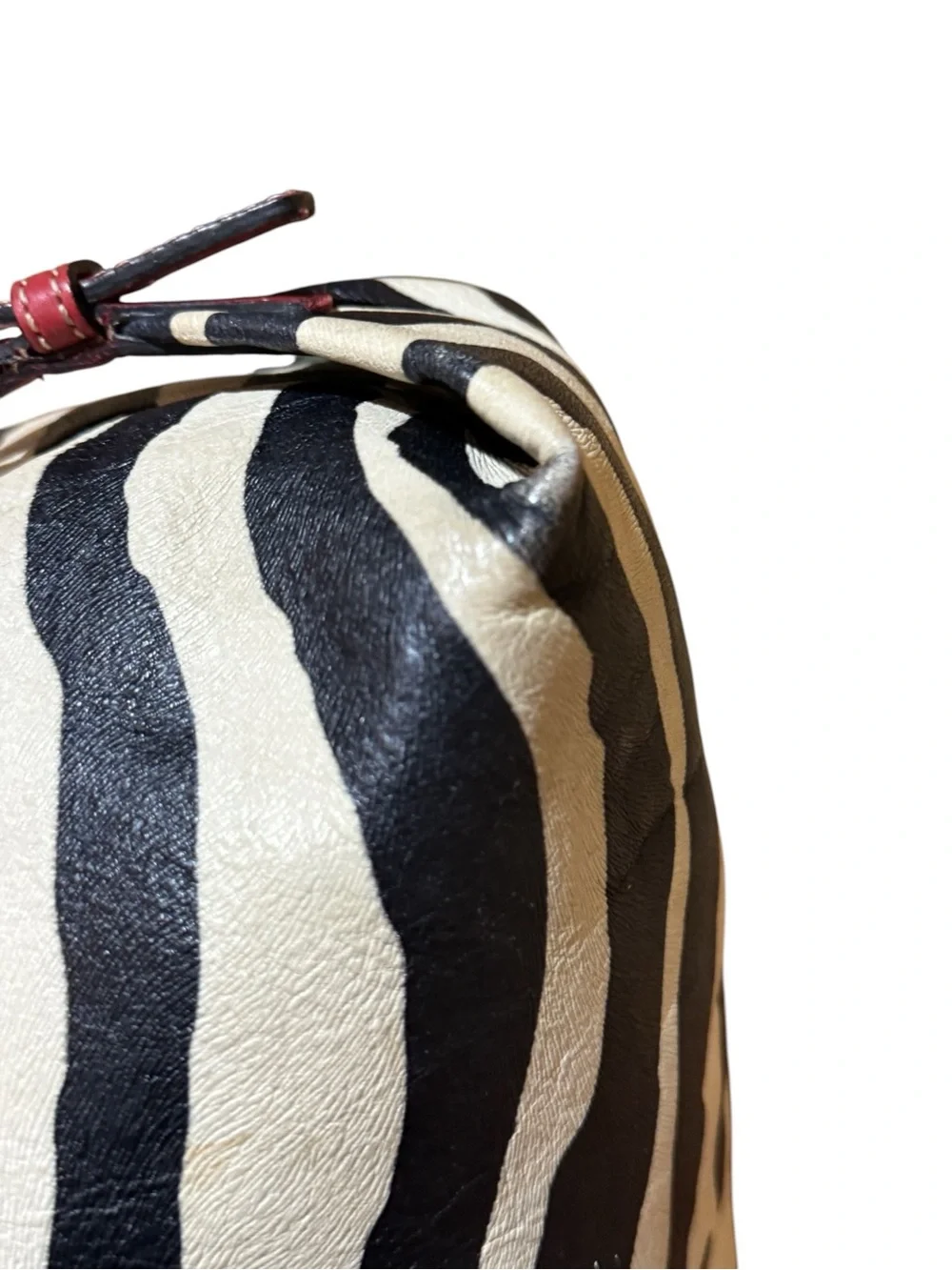 Dooney & Bourke Black and White Zebra Print Hobo with Burgundy Trim